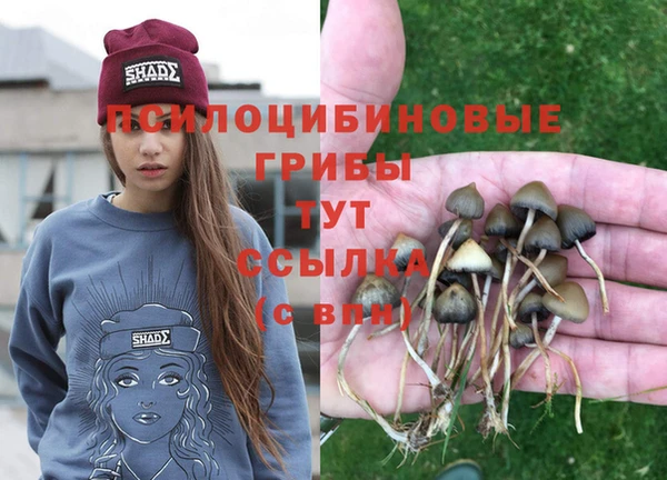 Альфа ПВП Абаза