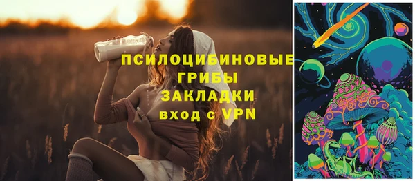 прущие крисы Медвежьегорск
