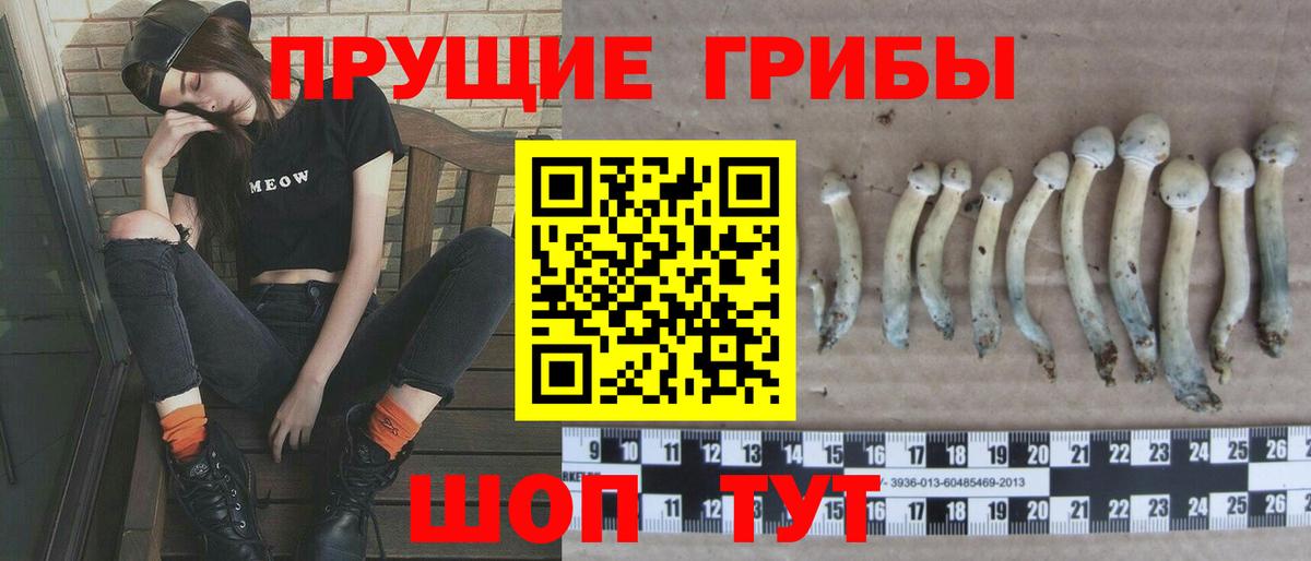 Псилоцибиновые грибы Magic Shrooms  Вход с VPN  Екатеринбург 